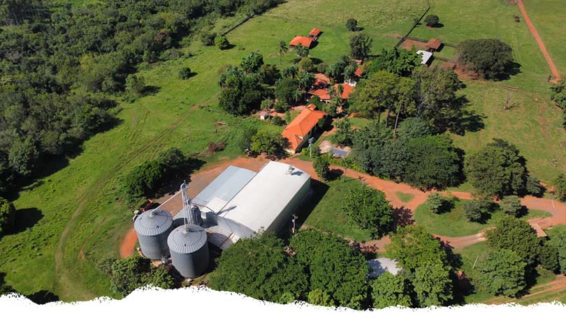Nutrigrãos